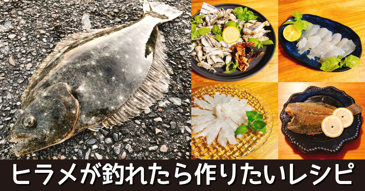 第12回 泳がせ釣りで釣れたヒラメを食す